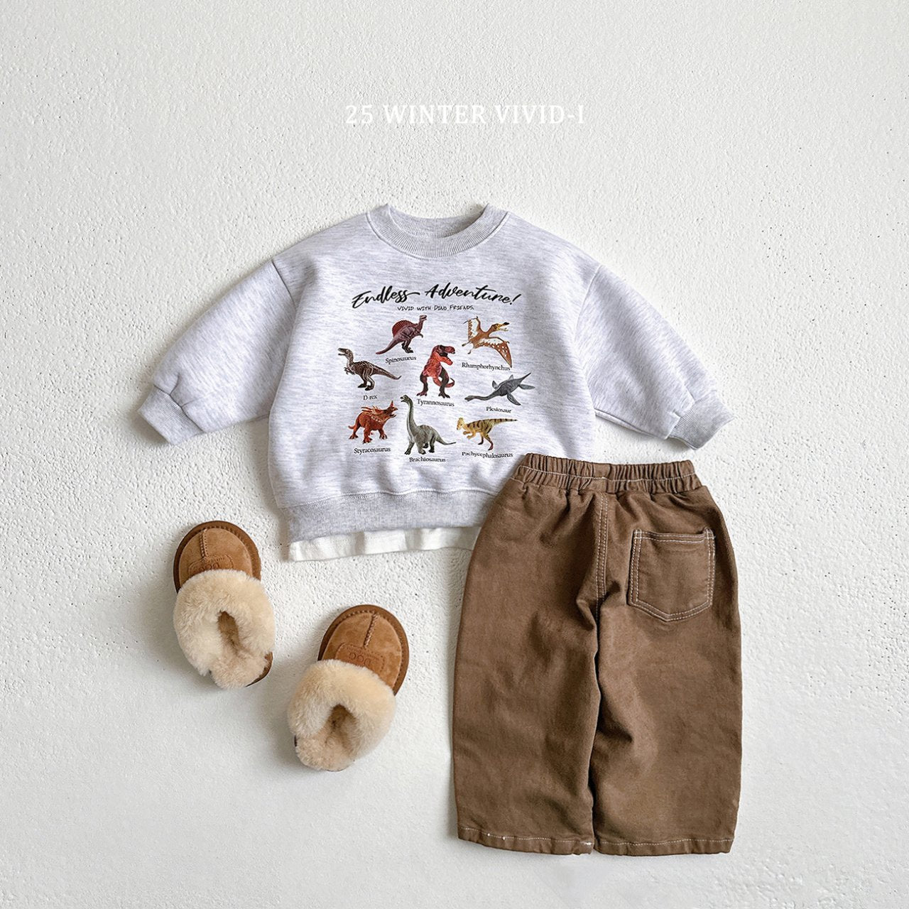 Fleece-lined mini dino sweatshirt