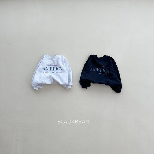 America sweatshirt