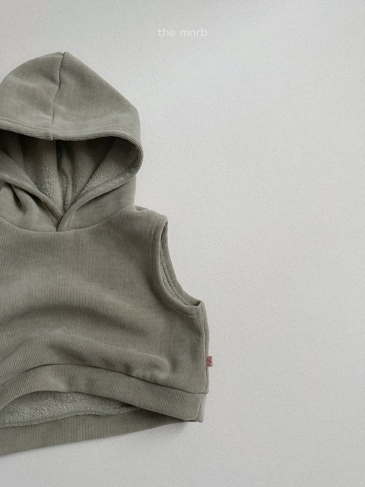 Snow hooded vest