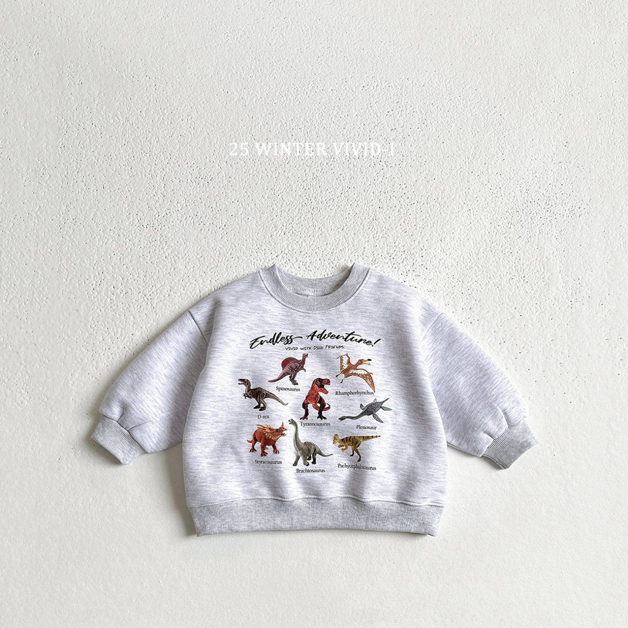 Fleece-lined mini dino sweatshirt