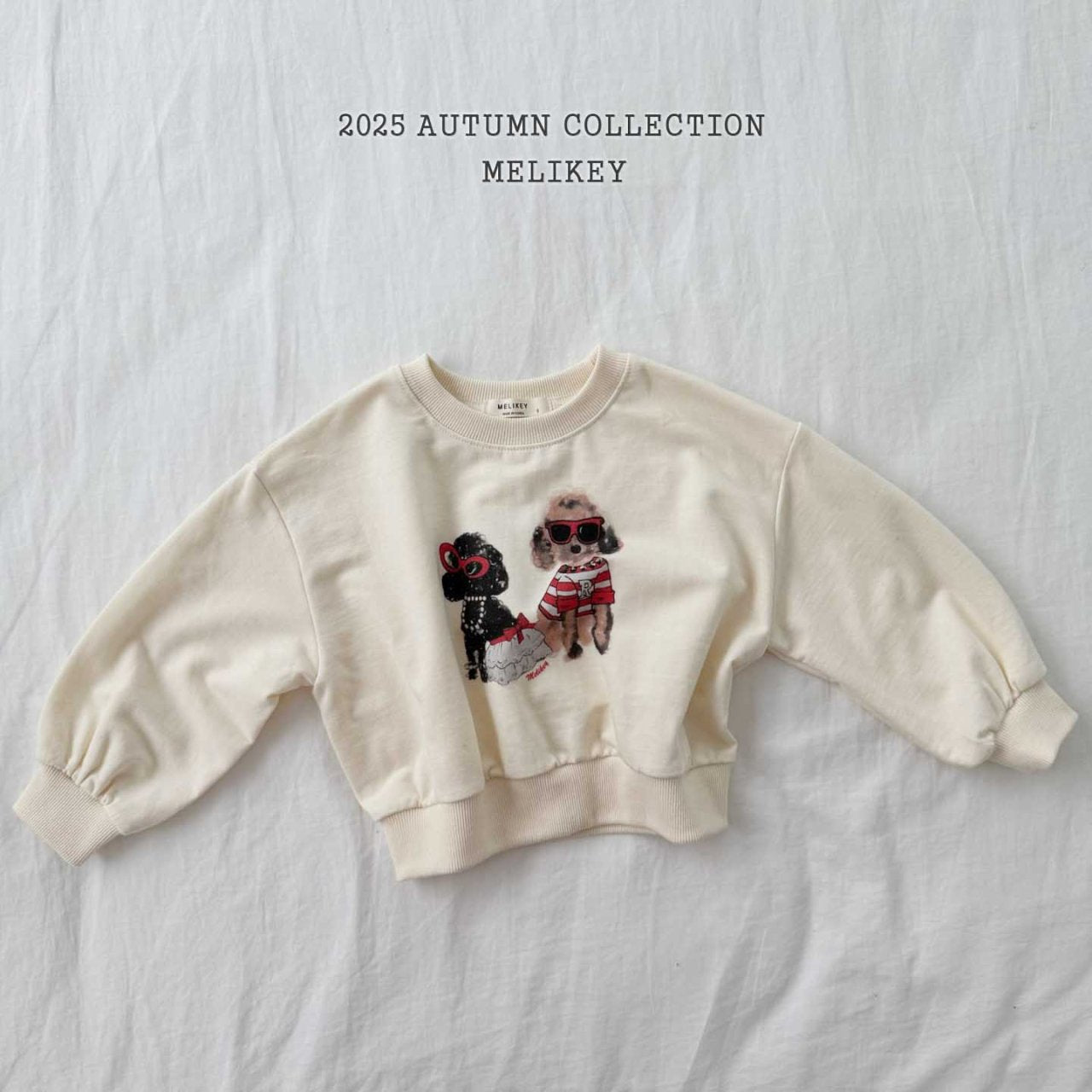 Poodley sweatshirt