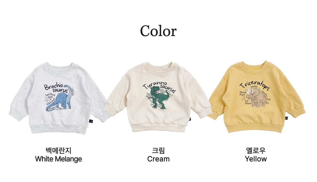Dinosaur sweatshirt