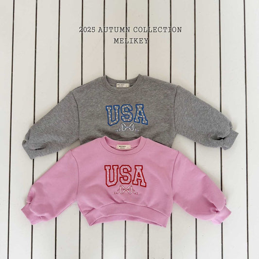 USA short sweatshirt