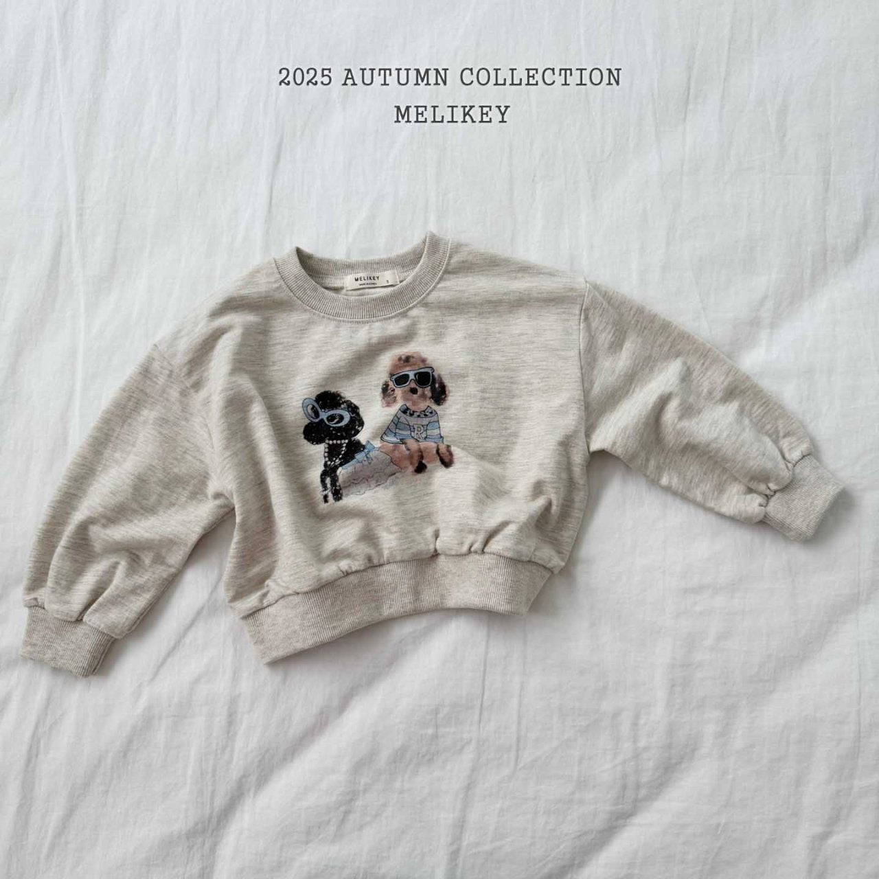 Poodley sweatshirt