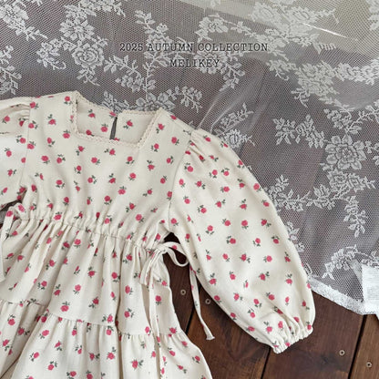 Roseberry dress