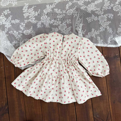 Roseberry dress