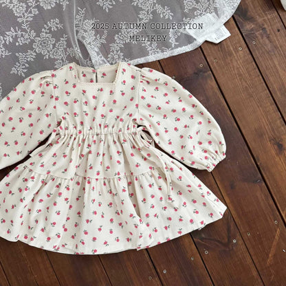 Roseberry dress