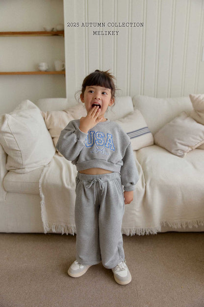 USA short sweatshirt