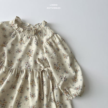 Alice dress