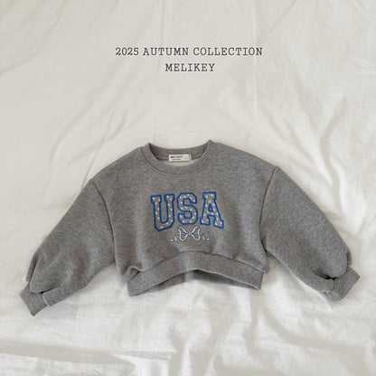 USA short sweatshirt