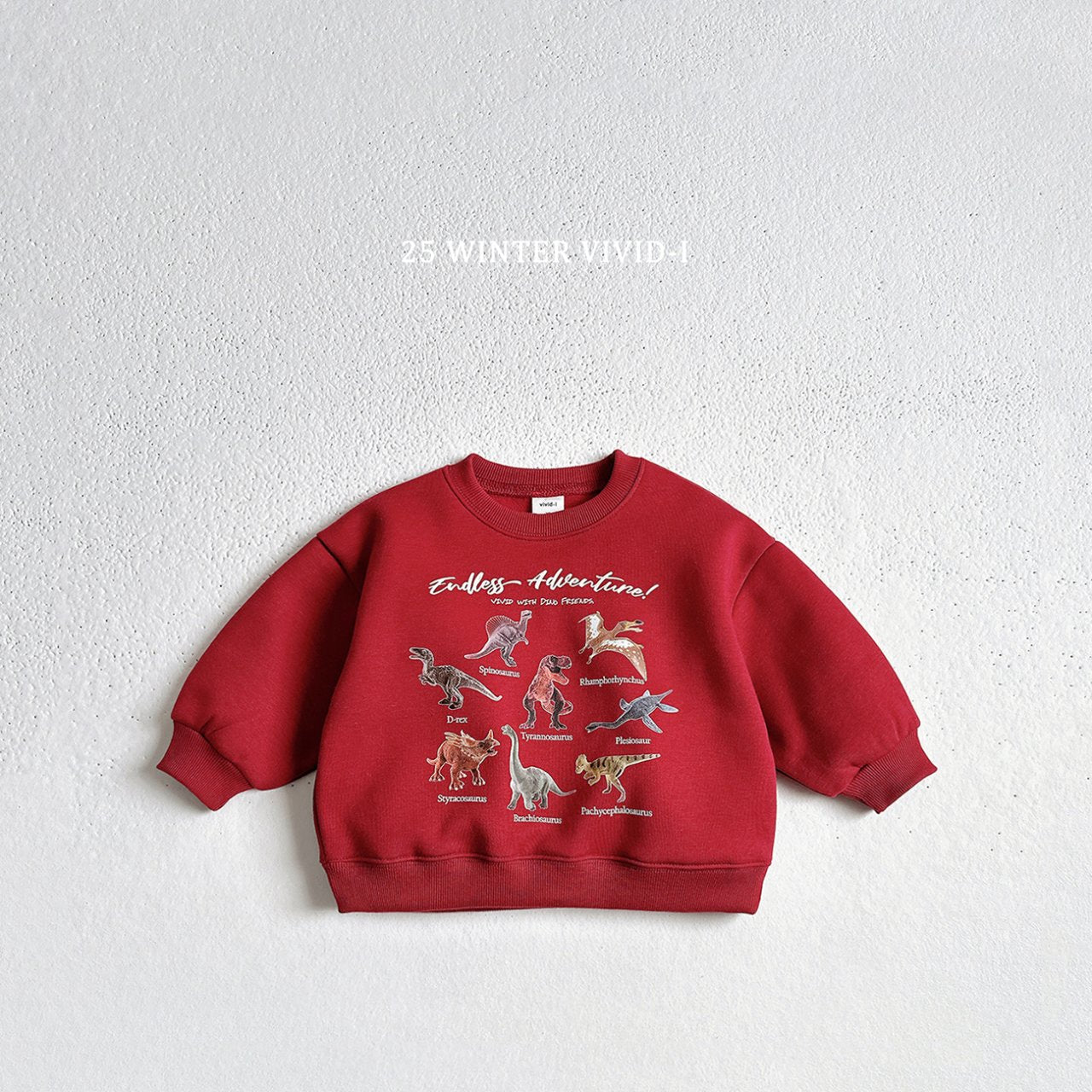 Fleece-lined mini dino sweatshirt
