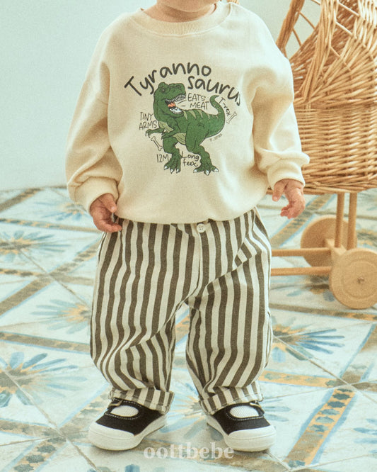 Dinosaur sweatshirt